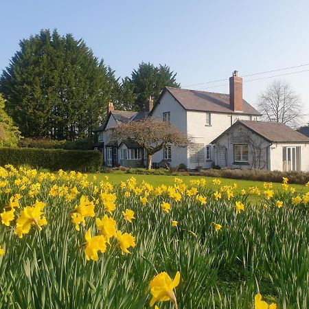 Lower House B&B Adforton Leintwardine Εξωτερικό φωτογραφία