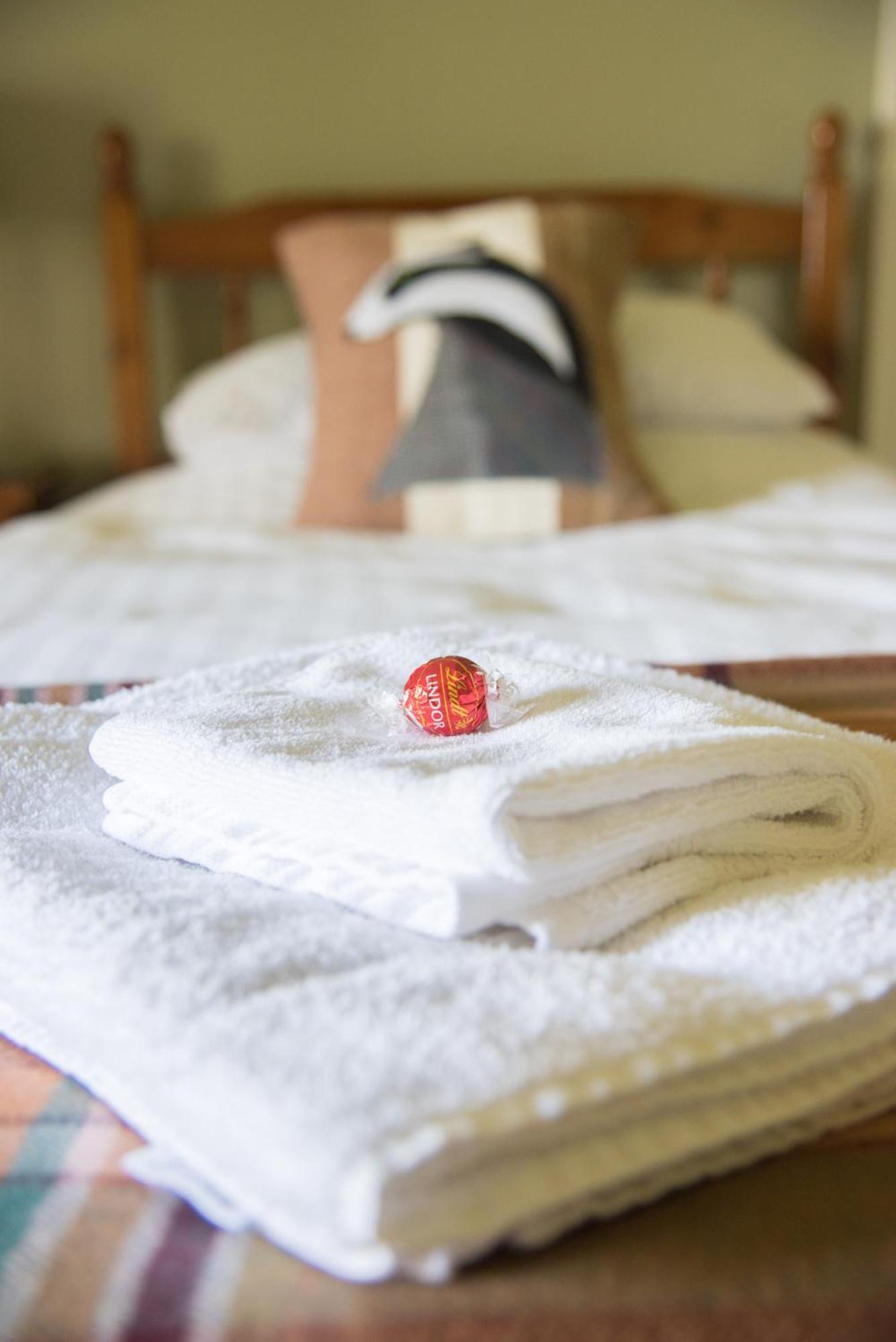 Lower House B&B Adforton Leintwardine Εξωτερικό φωτογραφία